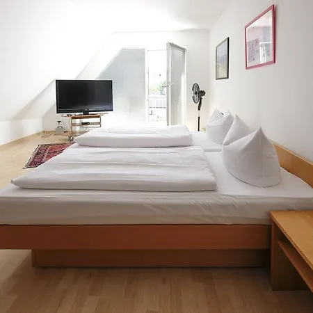 Traube Hotel 3*
