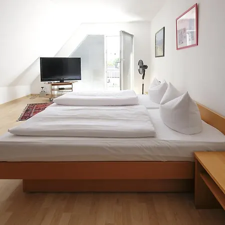 Traube Hotel 3*