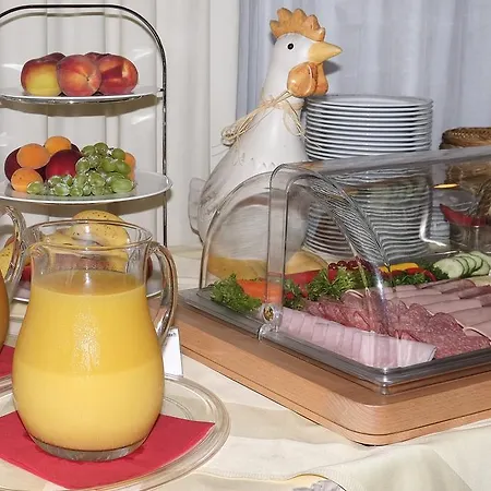 Hotel Traube Leimen (Baden)