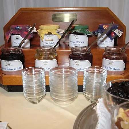 Hotel Traube Leimen (Baden)
