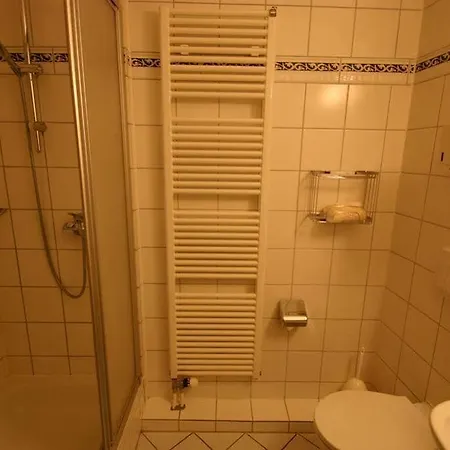 Hotel Traube Leimen (Baden)