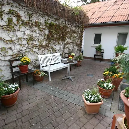 Traube 3*