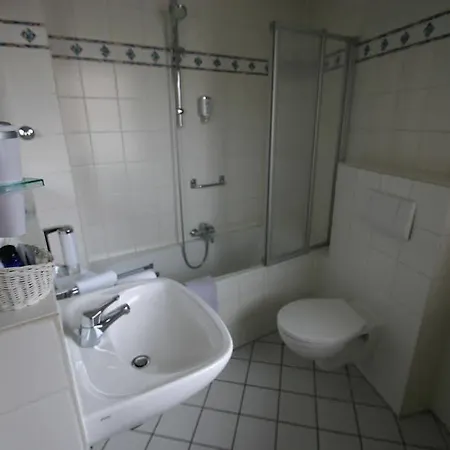 Hotel Traube Leimen (Baden)