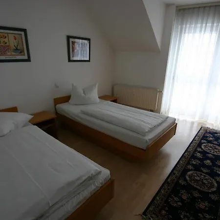 Traube Hotel 3*